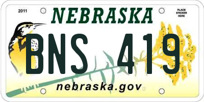 NE license plate BNS419