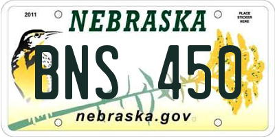 NE license plate BNS450