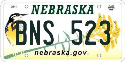 NE license plate BNS523