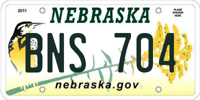NE license plate BNS704