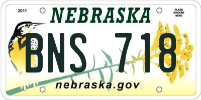 NE license plate BNS718
