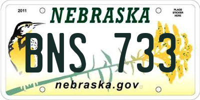 NE license plate BNS733