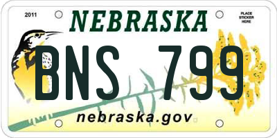 NE license plate BNS799