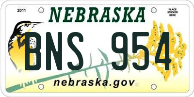 NE license plate BNS954
