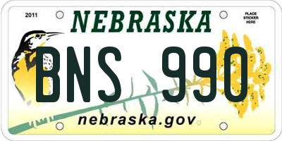 NE license plate BNS990