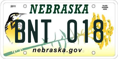 NE license plate BNT018