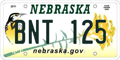 NE license plate BNT125
