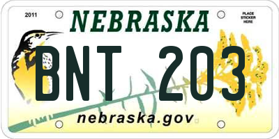 NE license plate BNT203