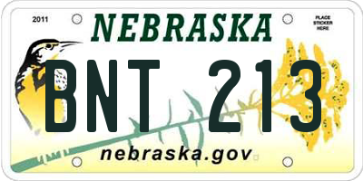 NE license plate BNT213
