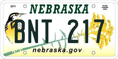 NE license plate BNT217