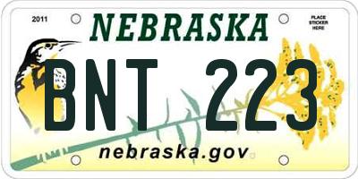 NE license plate BNT223