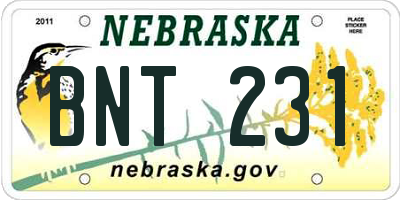 NE license plate BNT231