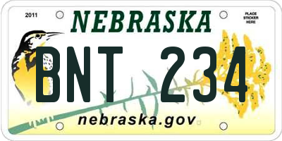 NE license plate BNT234