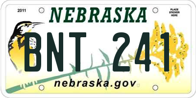NE license plate BNT241