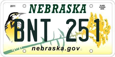 NE license plate BNT251