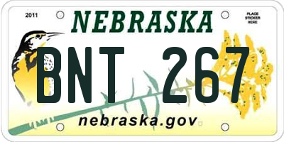 NE license plate BNT267