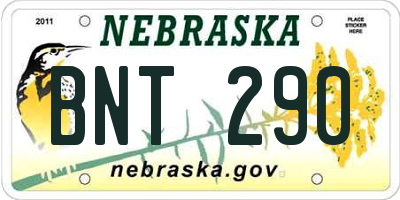 NE license plate BNT290