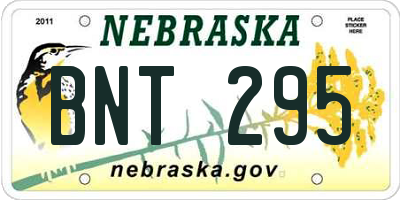 NE license plate BNT295