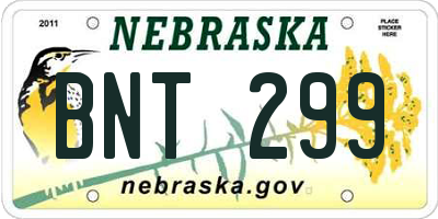 NE license plate BNT299