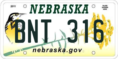 NE license plate BNT316