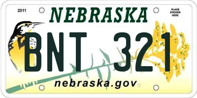 NE license plate BNT321