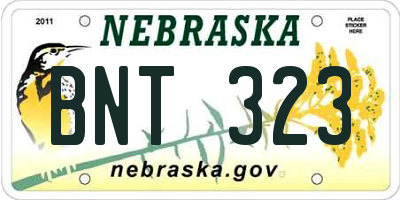 NE license plate BNT323