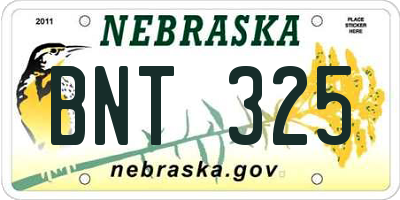 NE license plate BNT325