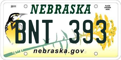 NE license plate BNT393