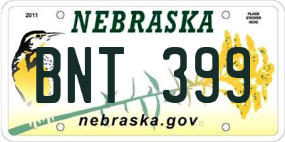 NE license plate BNT399