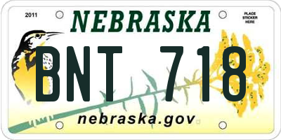 NE license plate BNT718