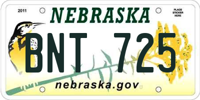 NE license plate BNT725