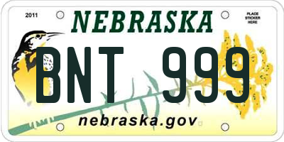 NE license plate BNT999