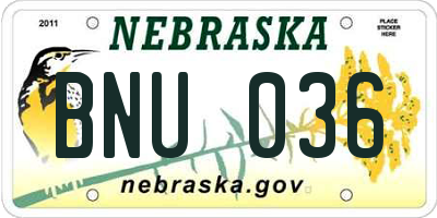 NE license plate BNU036