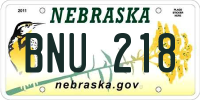 NE license plate BNU218