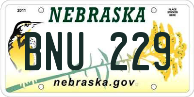 NE license plate BNU229