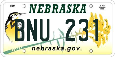 NE license plate BNU231