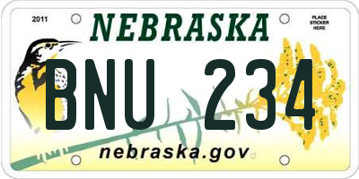 NE license plate BNU234