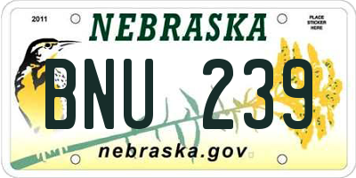NE license plate BNU239