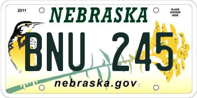 NE license plate BNU245