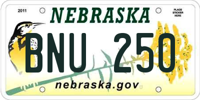 NE license plate BNU250
