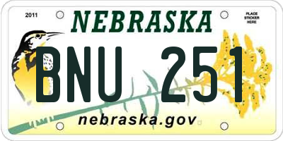 NE license plate BNU251