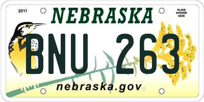 NE license plate BNU263