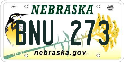 NE license plate BNU273