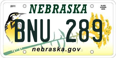 NE license plate BNU289