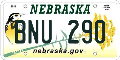 NE license plate BNU290