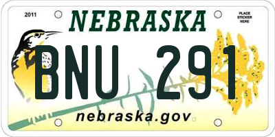 NE license plate BNU291