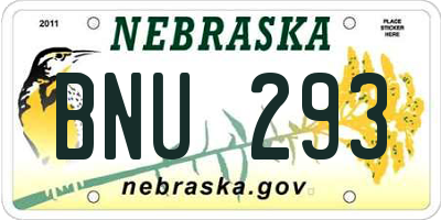 NE license plate BNU293