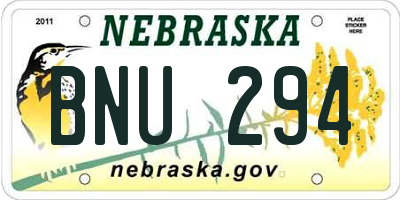 NE license plate BNU294