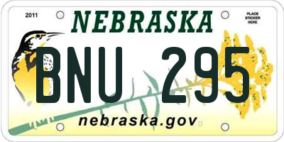 NE license plate BNU295