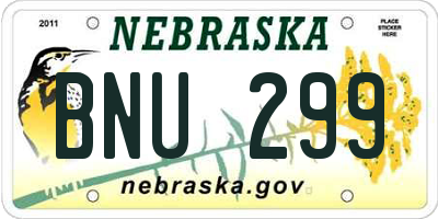 NE license plate BNU299